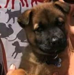 Meet your Posher, Maricela